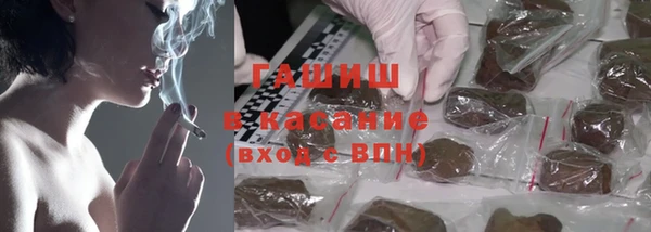 крисы Каменногорск