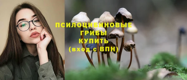 Альфа ПВП Каменск-Шахтинский