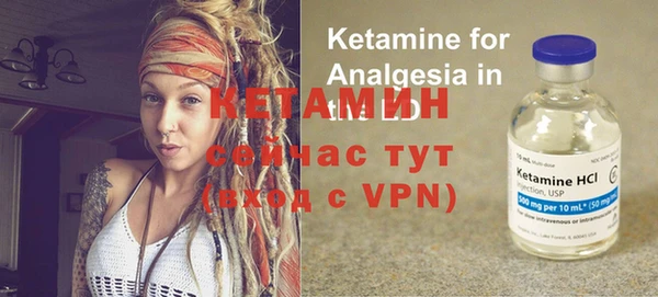 крисы Каменногорск