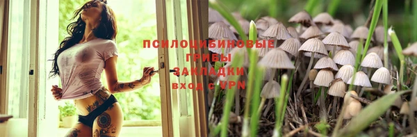ешки Каменка